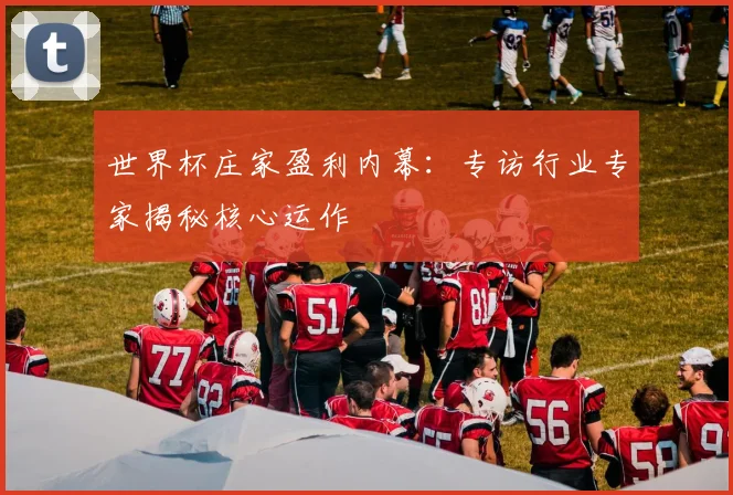 世界杯庄家盈利内幕：专访行业专家揭秘核心运作