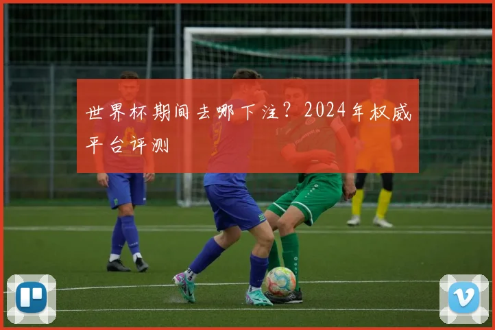 世界杯期间去哪下注?2024年权威平台评测