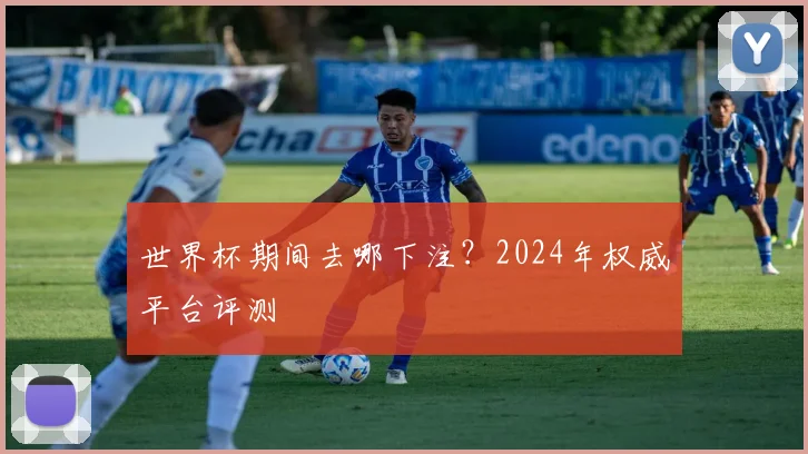 世界杯期间去哪下注？2024年权威平台评测