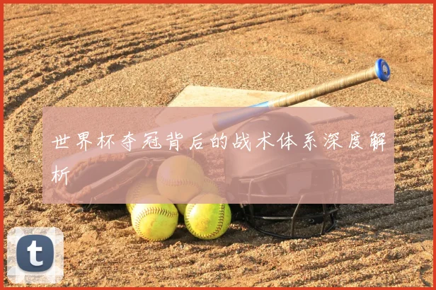 世界杯夺冠背后的战术体系深度解析